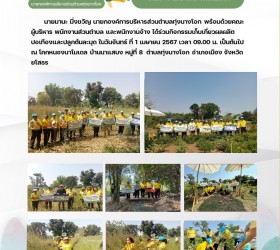 กิจกรรมเก็บเกี่ยวผลผลิตปอเทือง 